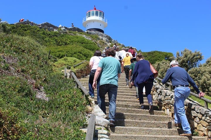Full-Day Private Cape Point Tour — Penguins, Chapman's Peak & Wine Tasting photo 6