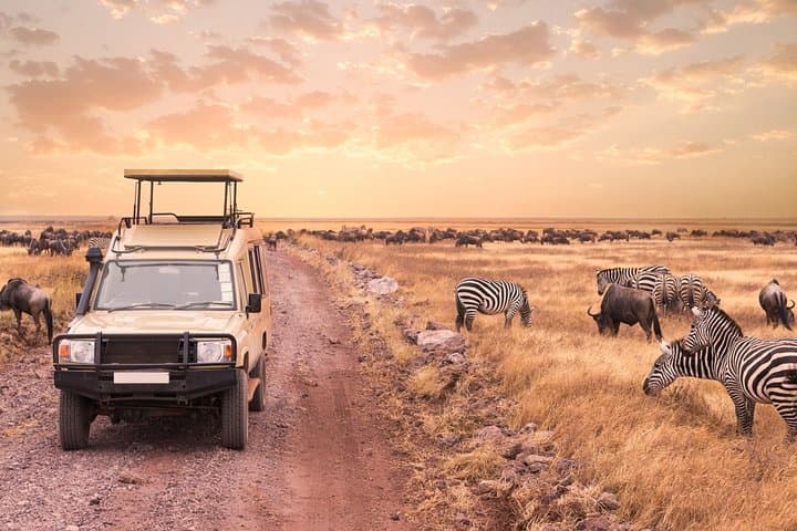 3-Day Masai Mara Luxury Safari: Big Five 4x4 Land Cruiser Experience photo 2