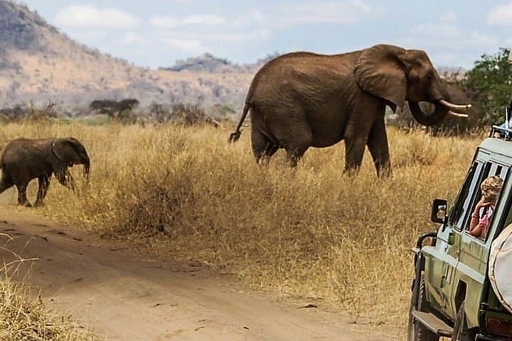 3-Day Masai Mara Luxury Safari: Big Five 4x4 Land Cruiser Experience photo 3