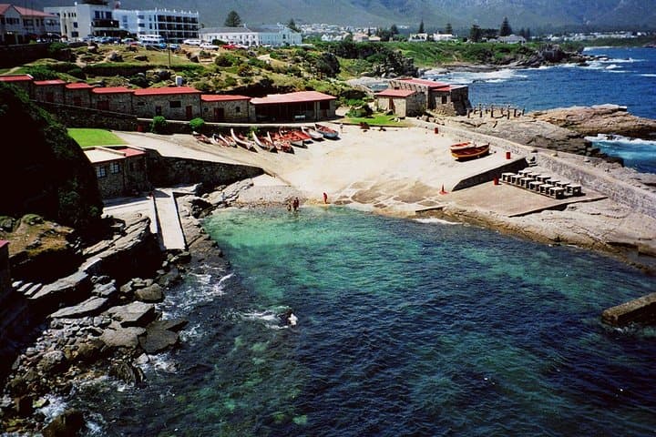 Garden Route Multi-Day Tour: Knysna, Oudtshoorn & Tsitsikamma Highlights photo 5
