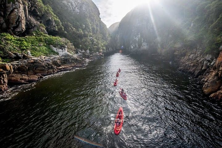 Garden Route Multi-Day Tour: Knysna, Oudtshoorn & Tsitsikamma Highlights
