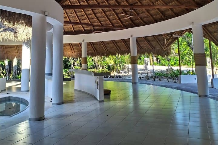 Salsa and Bachata Dance Class in Playa del Carmen — 60-Minute Private Lesson photo 4