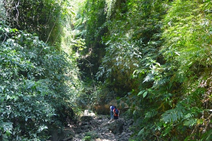 Maderas Volcano Hike on Ometepe Island — Summit the Crater Lake and Track Howler Monkeys photo 3