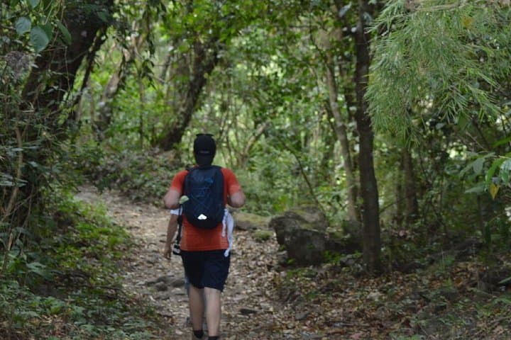 Maderas Volcano Hike on Ometepe Island — Summit the Crater Lake and Track Howler Monkeys photo 4