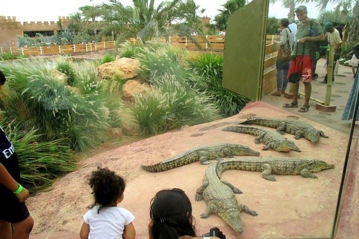 Inside Agadir Crocoparc: Crocodiles, Anacondas & Botanical Trails with Transfer photo 6
