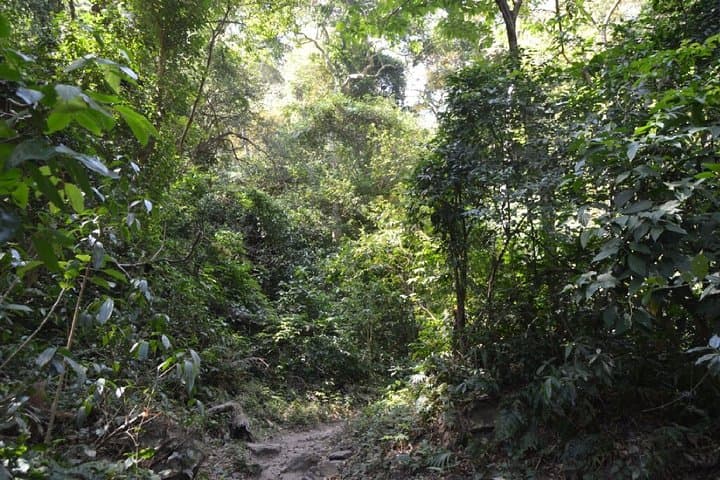 Hike to San Ramón Waterfall on Maderas Volcano — Picnic and Swim on Ometepe photo 3