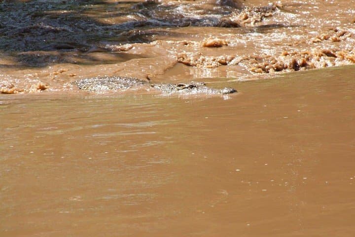 Ultimate 3-Day Maasai Mara Safari From Nairobi by Road photo 5