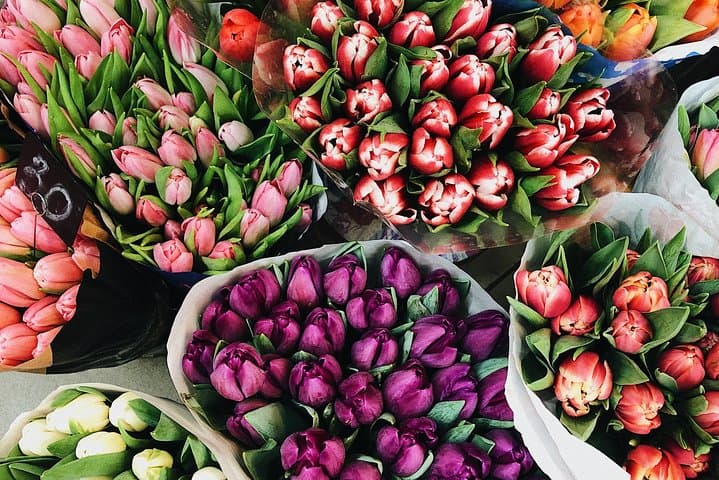 Pedal Through Amsterdam's Markets: Private Half-Day Bike Tour of Albert Cuyp, Ethnic Stalls & Flea Finds