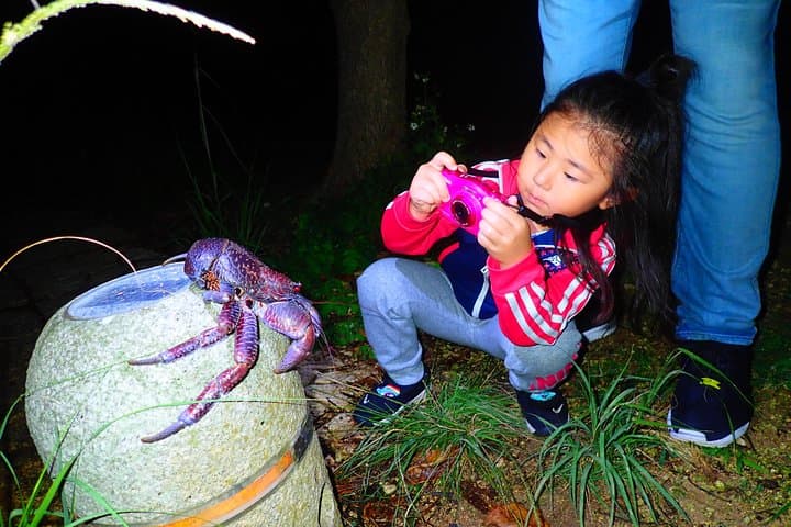 Miyako Island Night Jungle & Stargazing Tour — Coconut Crabs and Starry Skies photo 2