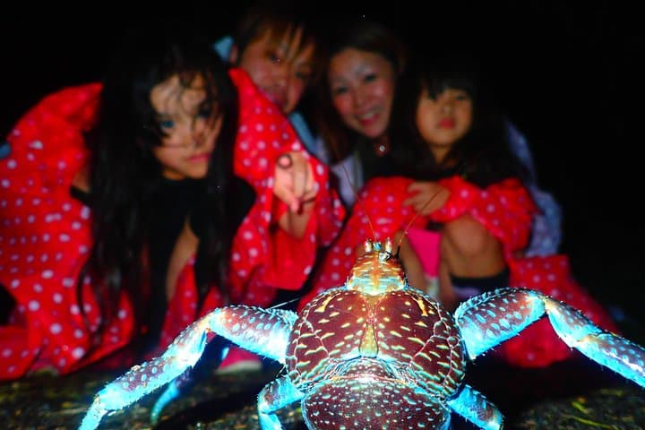 Miyako Island Night Jungle & Stargazing Tour — Coconut Crabs and Starry Skies photo 5