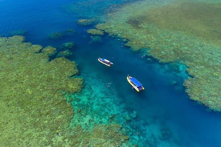 Ocean Rafting to Whitehaven Beach: Hill Inlet Lookout & Snorkel Adventure photo 4