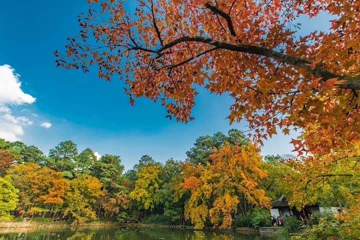 Private Day Trip to Tianping Mountain from Shanghai — Maple Trails & Monastery Views photo 4