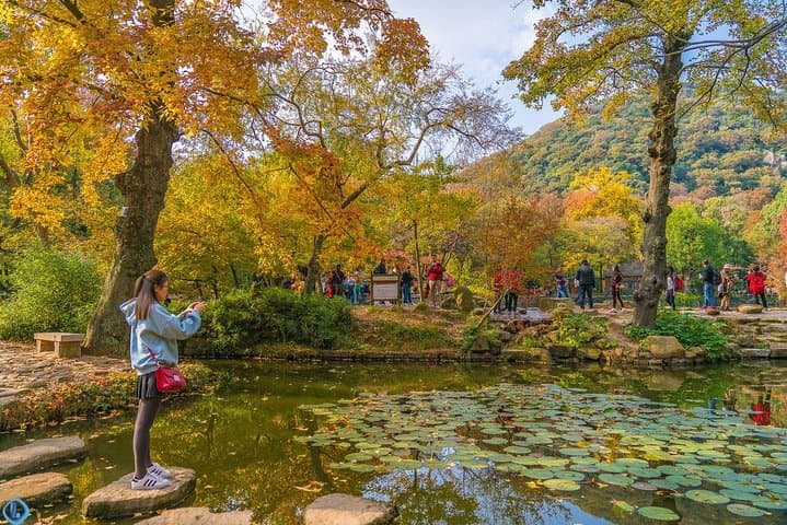 Private Day Trip to Tianping Mountain from Shanghai — Maple Trails & Monastery Views photo 6