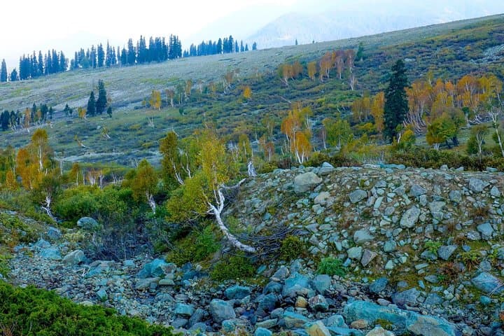 Sonamarg Day Trip from Srinagar: Thajiwas Glacier, Meadows & Mountain Views photo 2