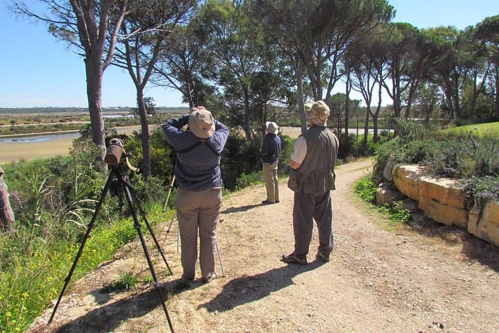 Ria Formosa Birdwatching Day Tour: Flamingos, Saltpans & Hidden Hides