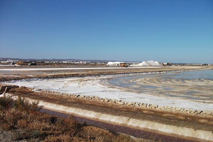 Ria Formosa Birdwatching Day Tour: Flamingos, Saltpans & Hidden Hides photo 3
