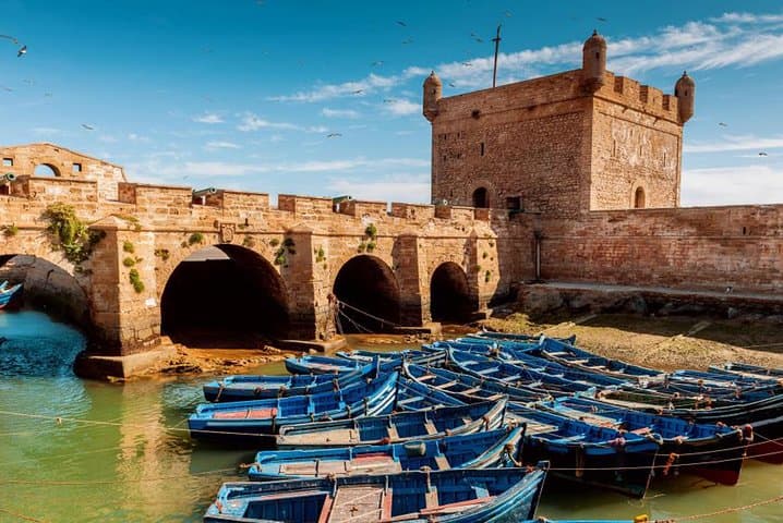 Agadir to Essaouira Private Day Trip: Coastal History, Argan Cooperatives & Port Walk photo 6
