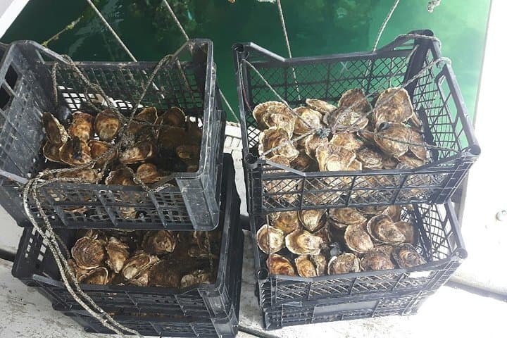 Kotor Bay Private Boat Tour: Mussels, Blue Cave & Wine Tasting photo 2