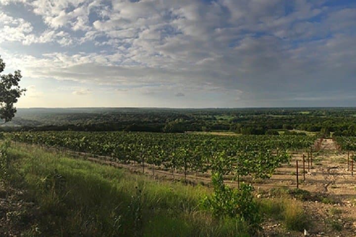 North Texas Wineries and Vineyards Tour: Three Winery Tastings from Fort Worth photo 4