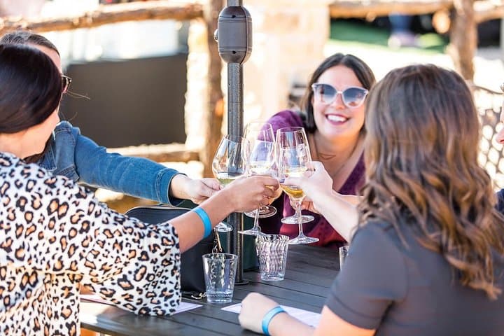 North Texas Wineries and Vineyards Tour: Three Winery Tastings from Fort Worth