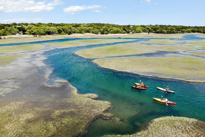 Kayak the Creek Nature Tour: Scorton Creek Wildlife Paddle on Cape Cod photo 5