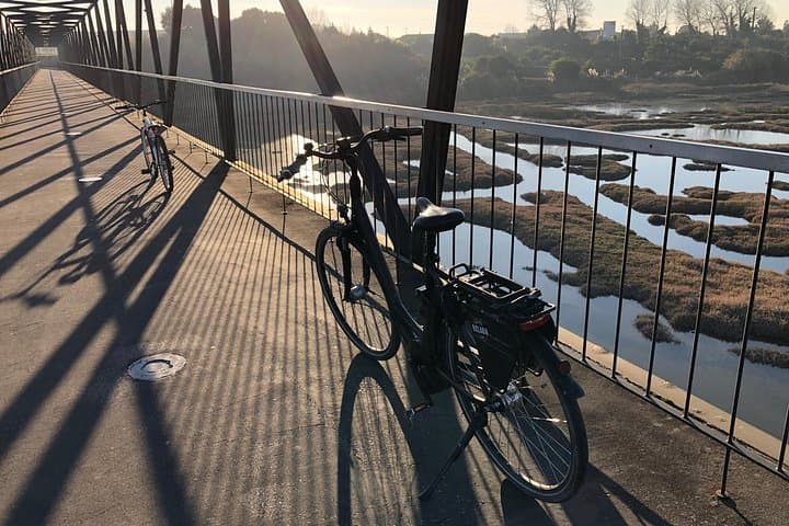 Bike to Ílhavo Maritime Museum & Codfish Aquarium — Coastal Cycling Tour from Aveiro