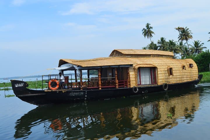 Kerala in Six Days: Munnar Hills, Alleppey Backwaters & Kovalam Beach Escape photo 4