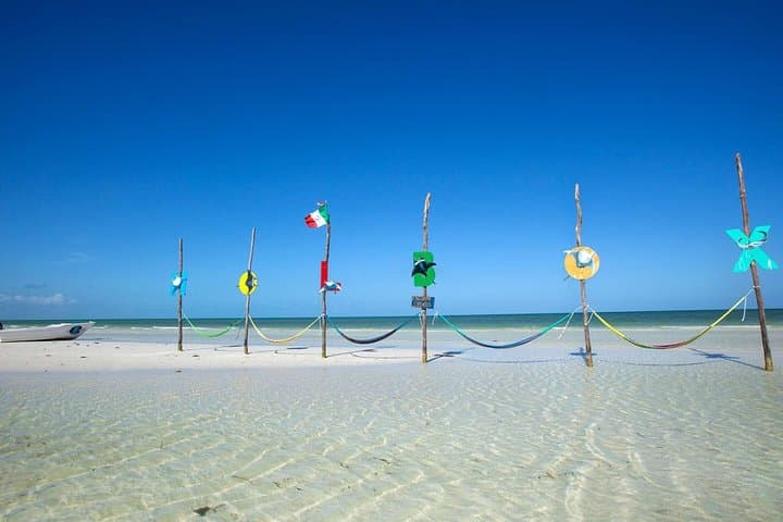 Holbox Island & Yalahau Cenote Day Trip from Cancún — Beaches, Birds & Sandbars photo 5