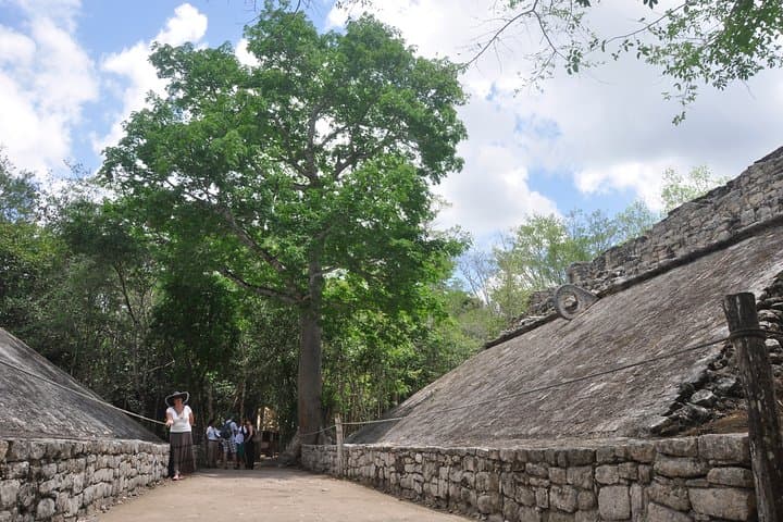 Half-Day Coba Ruins Bike Tour and Cenote Swim from Tulum photo 6