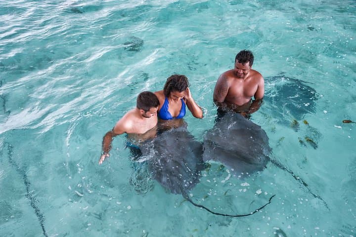 Private Bora Bora Snorkeling Cruise — Motu BBQ, Sharks & Stingrays photo 3