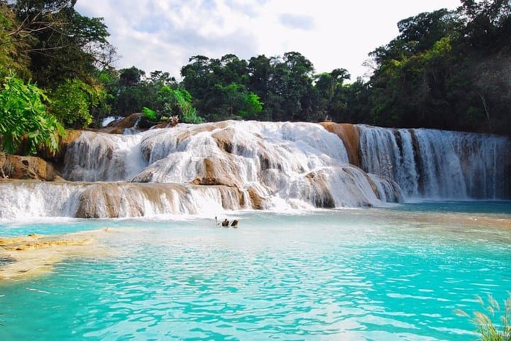 Palenque to Misol Ha & Agua Azul: Full-Day Waterfalls and Ruins Excursion photo 2