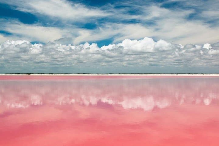 Las Coloradas Pink Lake & Río Lagartos Reserve: Day Trip from Cancún photo 3
