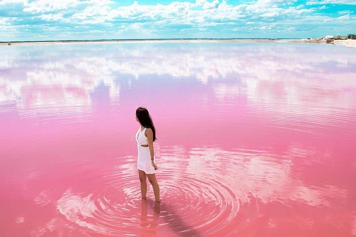 Las Coloradas Pink Lake & Río Lagartos Reserve: Day Trip from Cancún photo 4