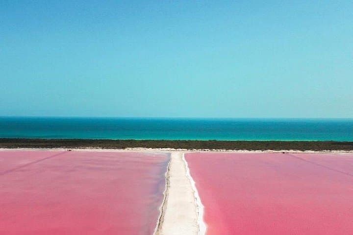 Las Coloradas Pink Lake & Río Lagartos Reserve: Day Trip from Cancún photo 2