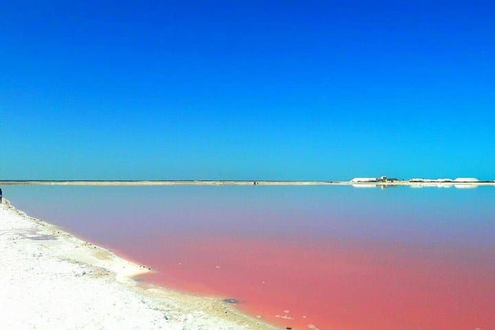 Las Coloradas Pink Lake & Río Lagartos Reserve: Day Trip from Cancún photo 5
