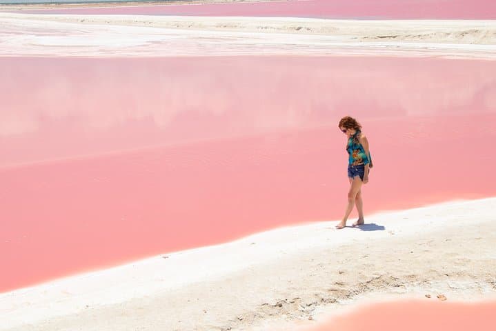 Explore Rio Lagartos & Las Coloradas: Pink Lakes, Flamingos and a Mayan Bath photo 4