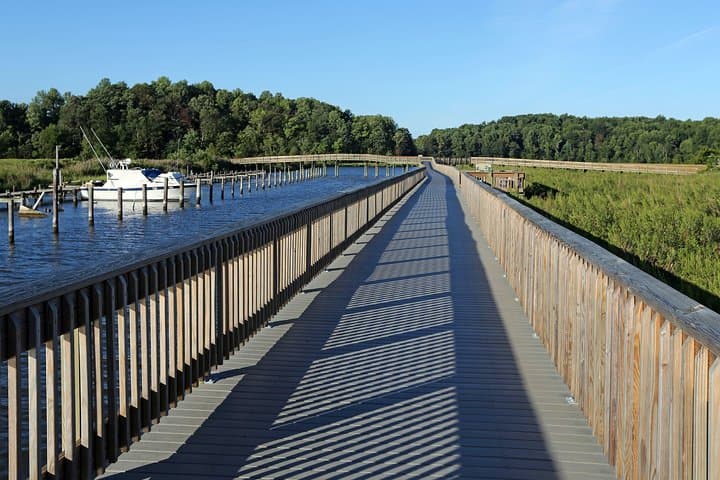 Chesapeake Beach Railway Trail Guided Walk: Marsh Views & Railway Museum