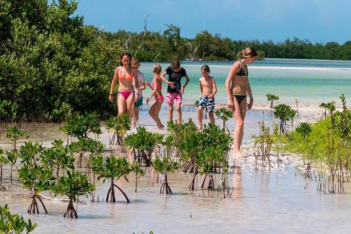 Holbox Island Tour: Punta Mosquito, Punta Cocos & Lunch from Riviera Maya photo 3