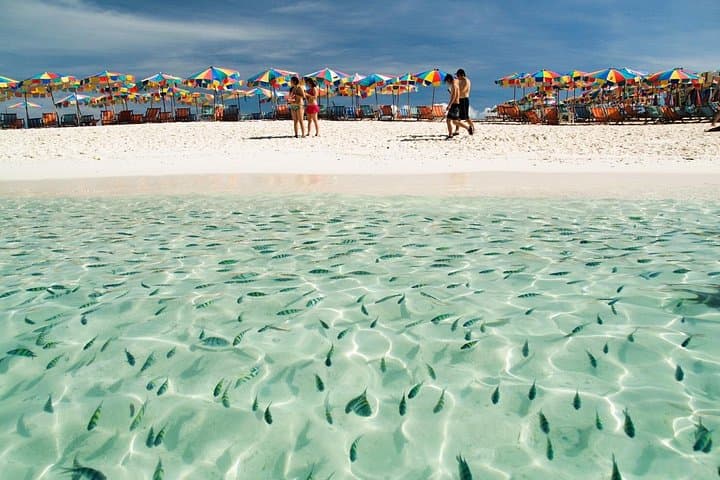 Khai Islands Half-Day Speedboat Tour from Phuket — Snorkel White Sand Beaches photo 3