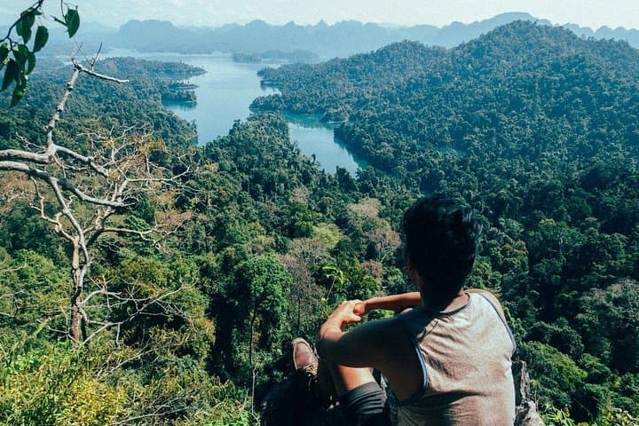 Full-Day Khao Sok National Park Tour from Krabi: Bamboo Rafting, Jungle Trek & Hilltop Views photo 3