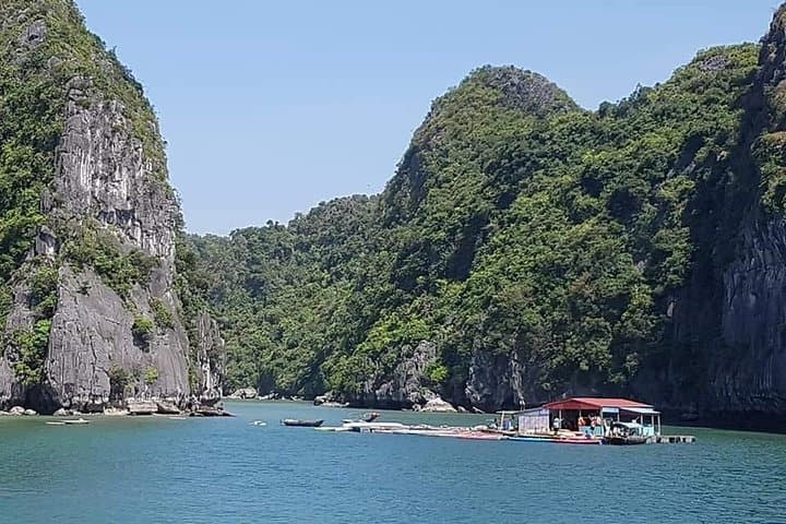 Overnight Ha Long Bay Cruise from Hanoi — 2-Day Majestic Halong Experience photo 3