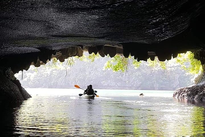 Lan Ha and Ha Long Bay Full-Day Cruise & Kayak from Hanoi photo 3