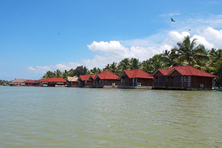 Enchanting Kerala Tea Estate, Spice Plantation & Backwater Tour photo 5