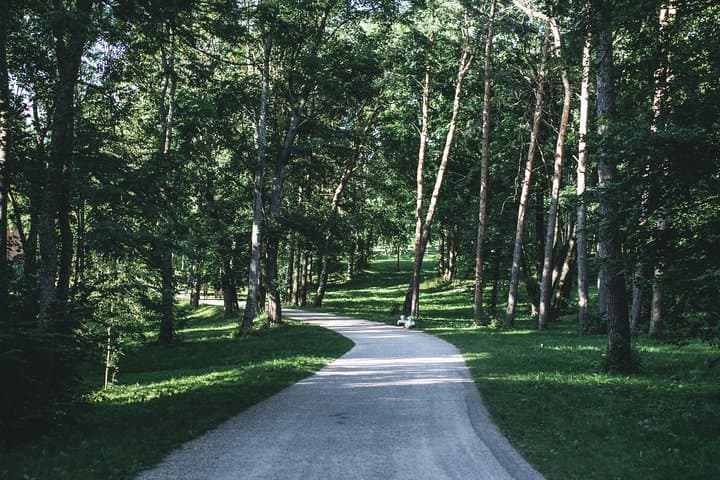 Walking Escape in Trakai National Park: Bog Trails, Lakes & Medieval Trakai