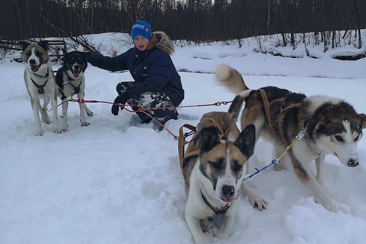 Private Husky Sledding on the Alta River — Intimate Winter Ride in Alta Valley photo 4