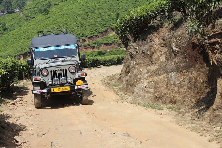Highlights of South India: Luxury Kerala Backwaters, Munnar & Periyar Adventure photo 6