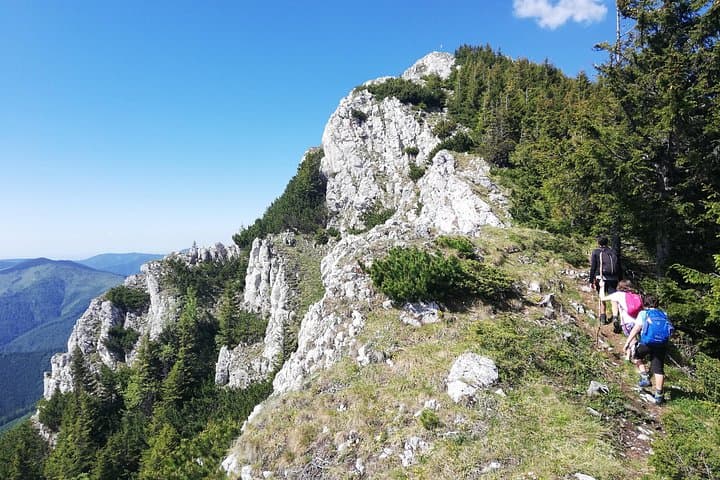 Piatra Craiului Day Hike from Zarnesti: Private Guided Ridge & Hut Trek photo 2