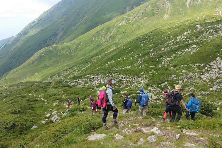 Private Easy Day Hike in the Carpathians: Bucegi, Piatra Craiului & Bran Trails photo 1