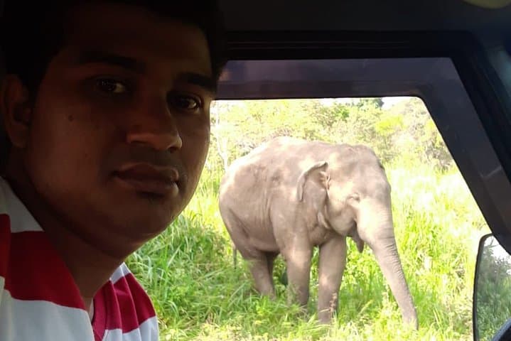 Sigiriya & Kaudulla Jeep Safari: Elephant Encounters and Lion Rock Views photo 3
