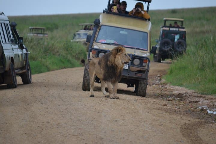 5-Day Private Safari: Tarangire, Serengeti & Ngorongoro Crater